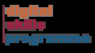 Digital Skills programme logo