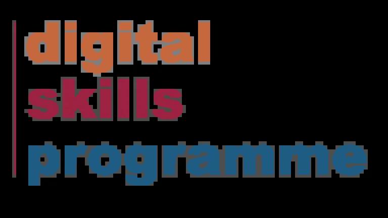 Digital Skills programme logo